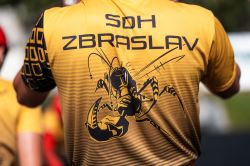 Oldr207