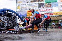 Psanky332